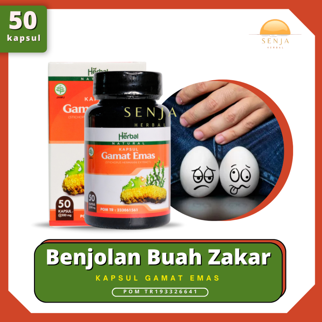 Obat Benjolan Buah Zakar, Buah Zakar Bengkak Sebelah,  Nyeri Buah Zakar | KAPSUL GAMAT EMAS