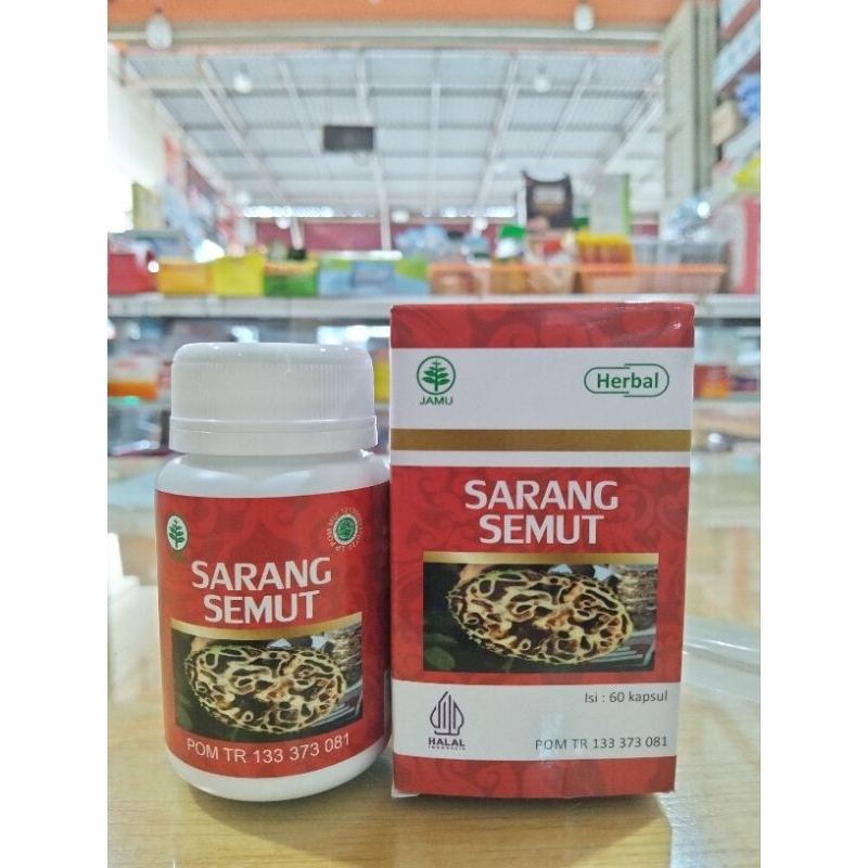SARANG SEMUT KAPSUL