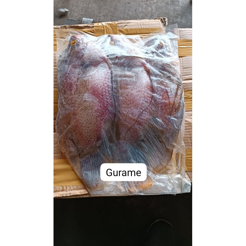 

Daging Seafood Fresh - Ikan Gurame (Daging Beku)