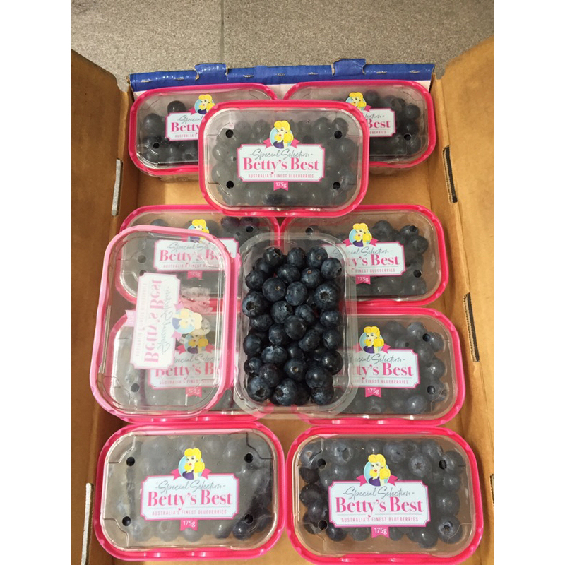 

Blueberry Betty Blues Jumbo Australia 1 Dus (10 Pack) Fresh Import
