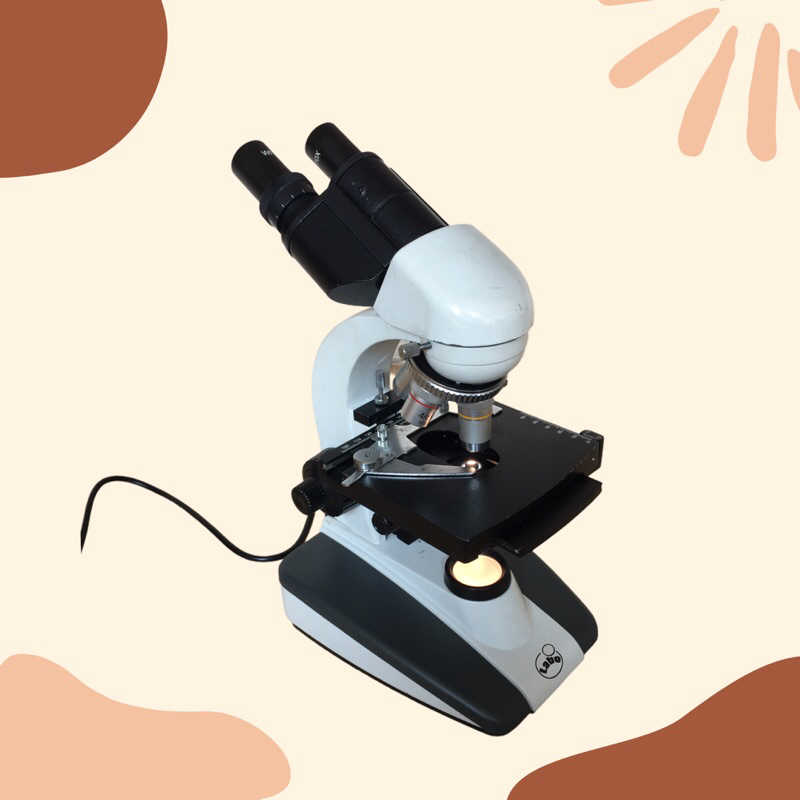 Mikroskop (microscope) Binokuler merek Labo (bekas)