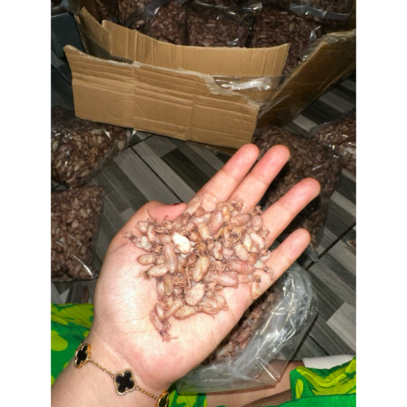 

BABY CUMI PREMIUM 100 gram