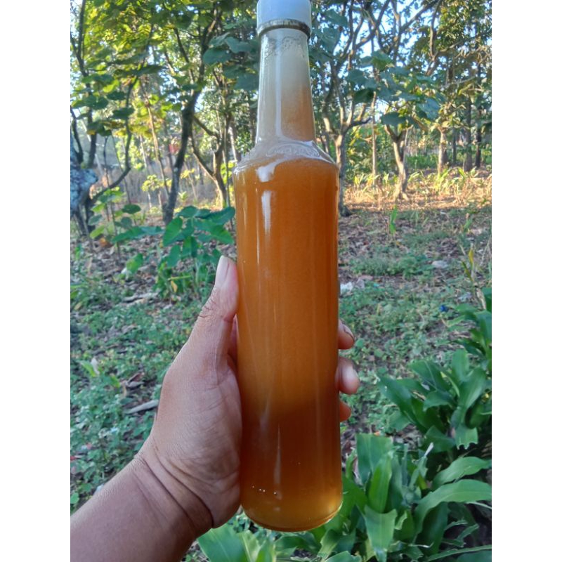 

MADU LIAR ASLI 500ML COBA DAN BUKTIKAN