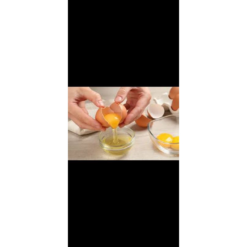 

Putih Telur Fresh