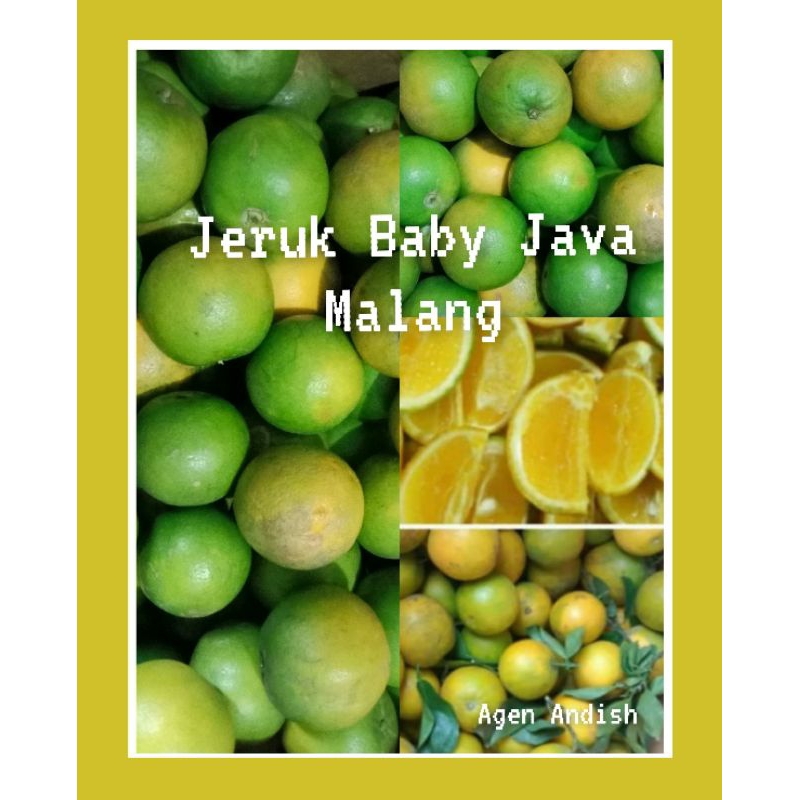

Jeruk Baby Java Malang Fresh 1Kg (Size&Kulit MIX) bisa buat MPASI