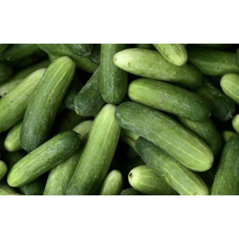 

TIMUN FRESH 1kg