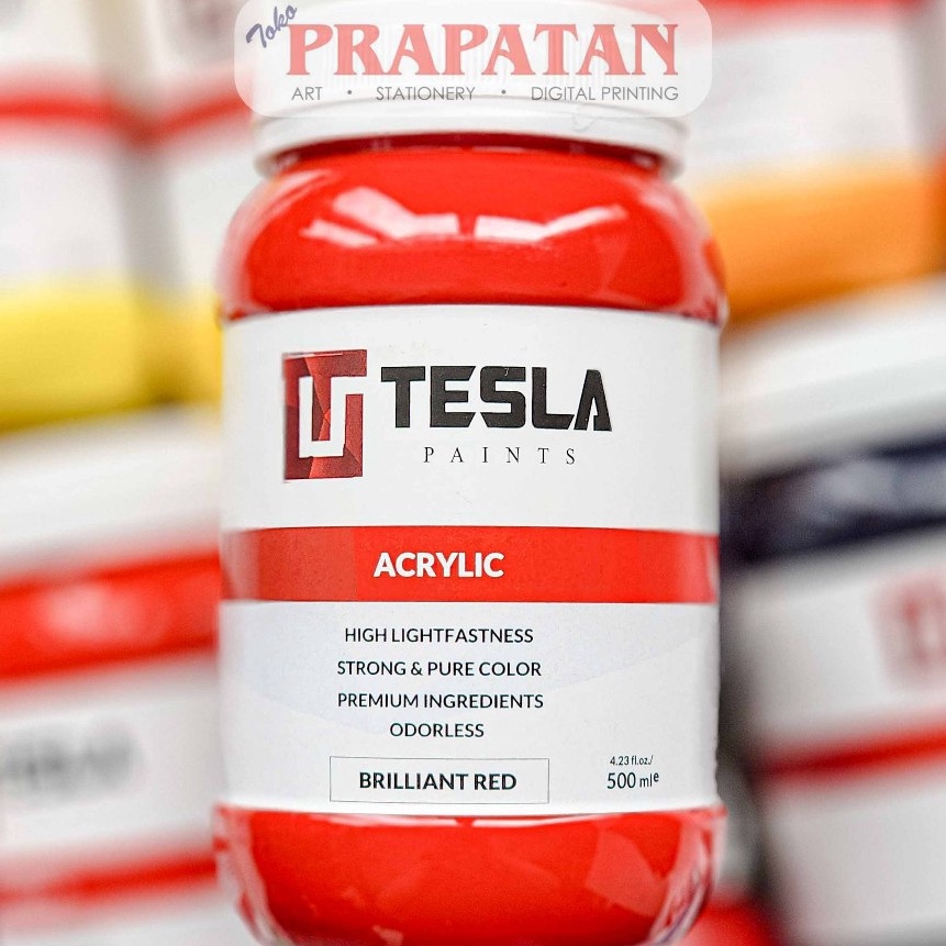 

KP8 Cat Akrilik Tesla ml Tesla Acrylic