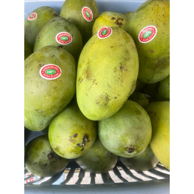 

Mangga harum manis gradeA