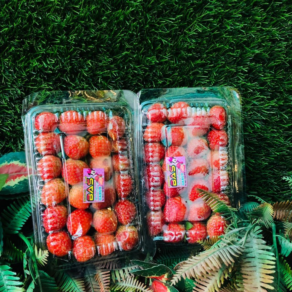 

Straberry pack kecil