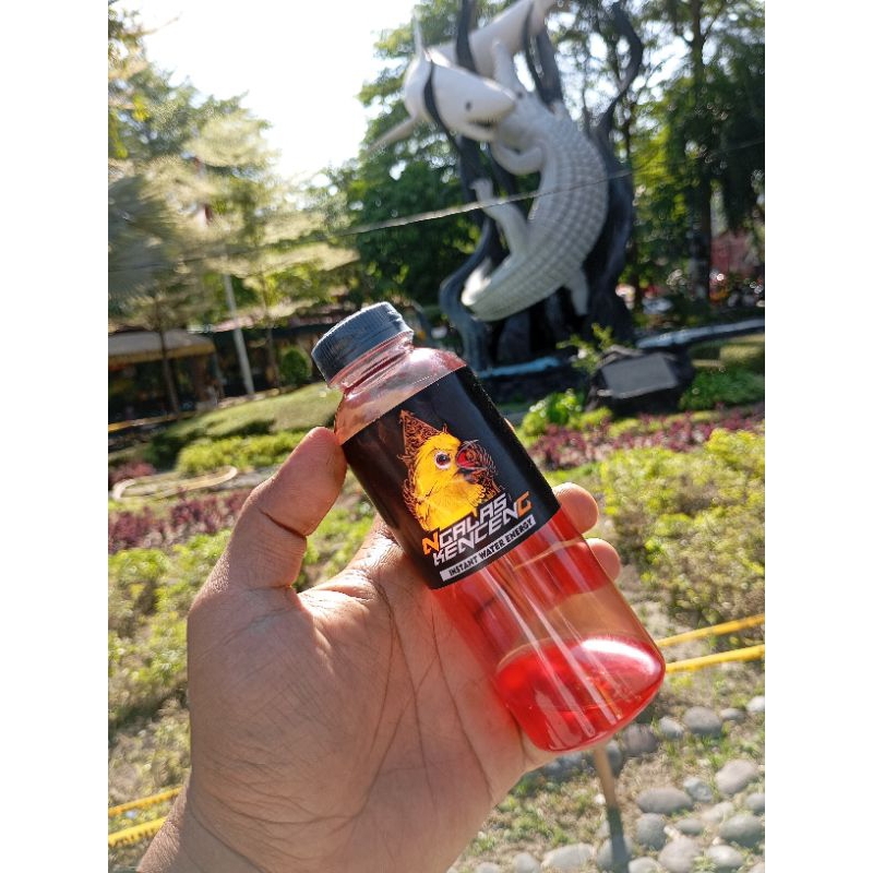 DOPING PLECI BIKIN BUKA PARUH