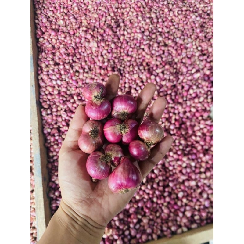 

bawang merah super B jawa 1 kilo