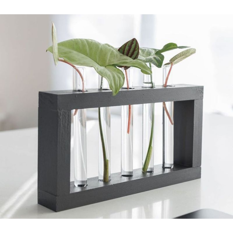 HIASAN DEKORASI DINDING DAN MEJA POT KACA TABUNG AESTHETIC