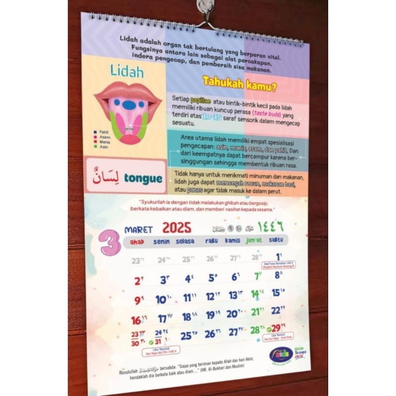 

Kalender Edukasi Anak 2025 Tema Anggota Tubuhku (Ayat-ayat Allah pada Tubuh Manusia) Syafi'i Kids
