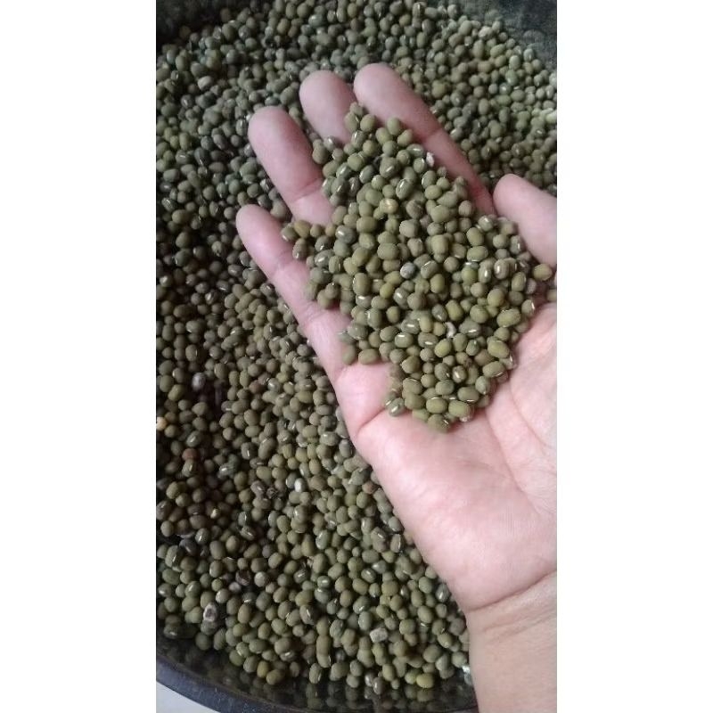 

Kacang Hijau Lokal 1 kg