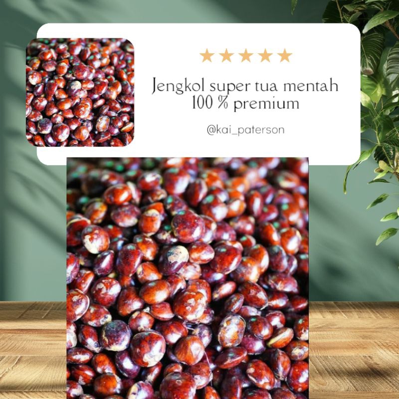 

Jengkol Super 500 gr