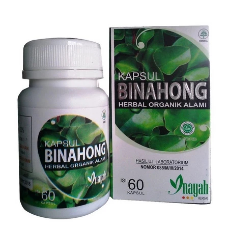 BINAHONG ORIGINAL KAPSUL DAUN BINAHONG garansi