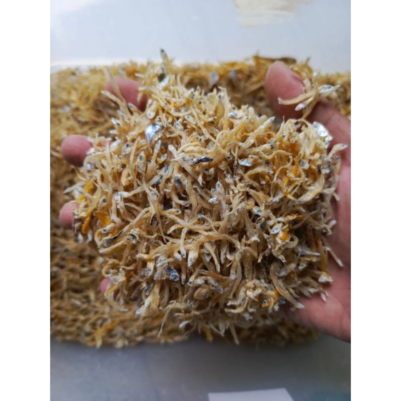 

Teri Kecil / Teri Sedang / Teri Besar / Layur / Balur