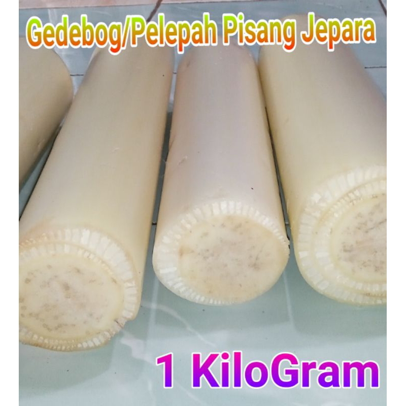 

Gedebog Pisang Muda