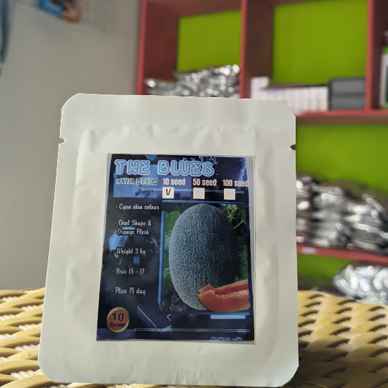 Benih Melon THE BLUES Repack Isi 10 Biji Melon