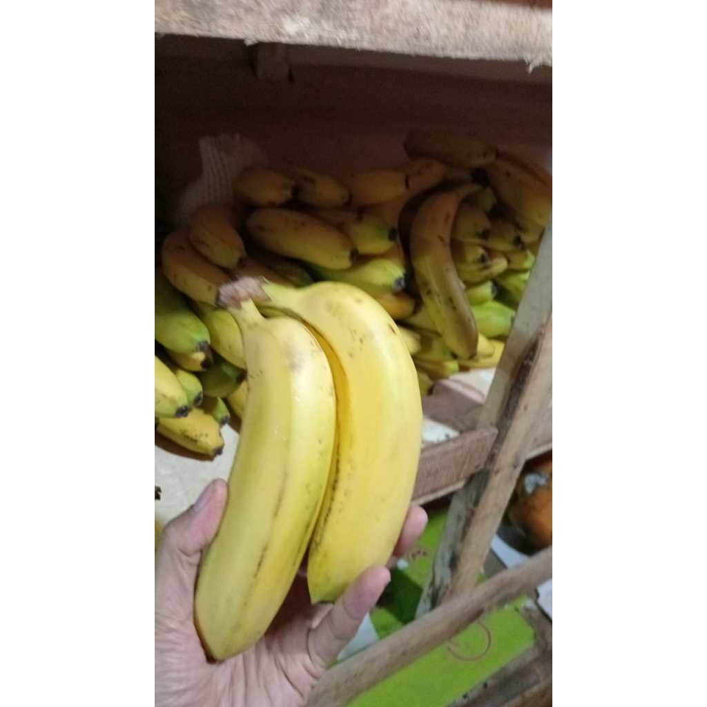 

Buah pisang