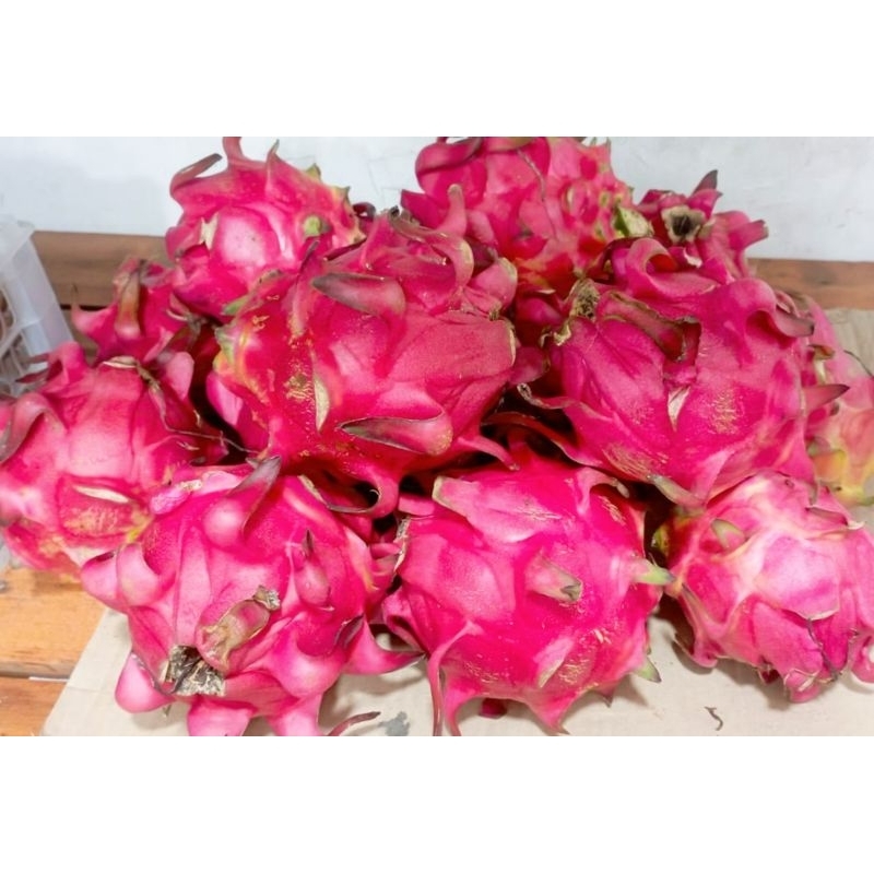 

Buah Naga Merah kirim instan solo dan sekitarnya