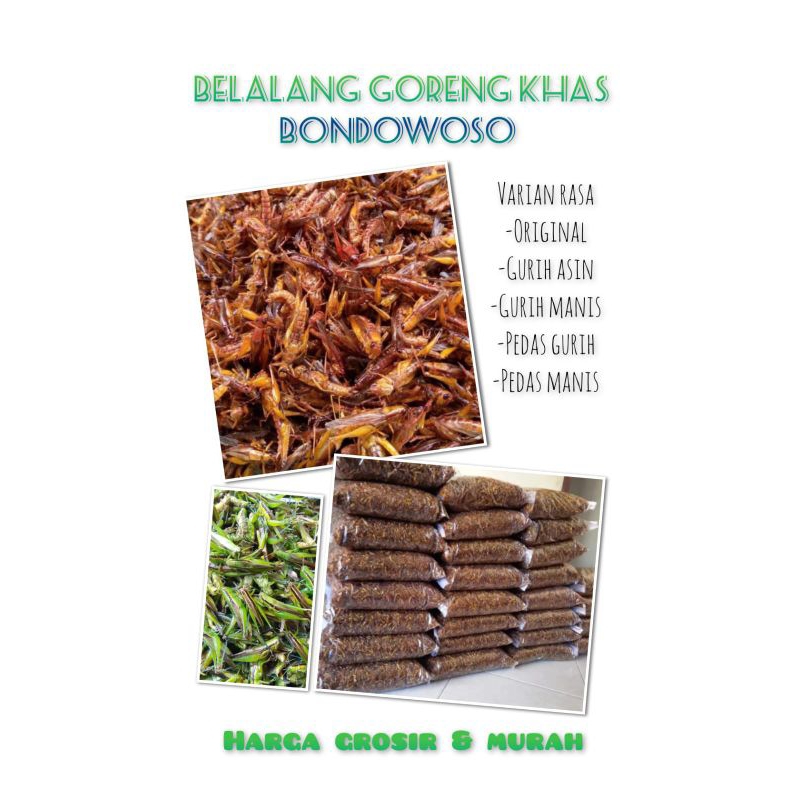 

walang goreng kemasan 250.grm belalang goreng renyah belalang kecil belalang sawah grosir