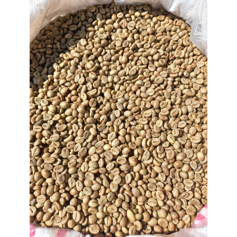 

Green Bean Asalan A Robusta Temanggung 2024 || Mandalo Coffee 1 kg
