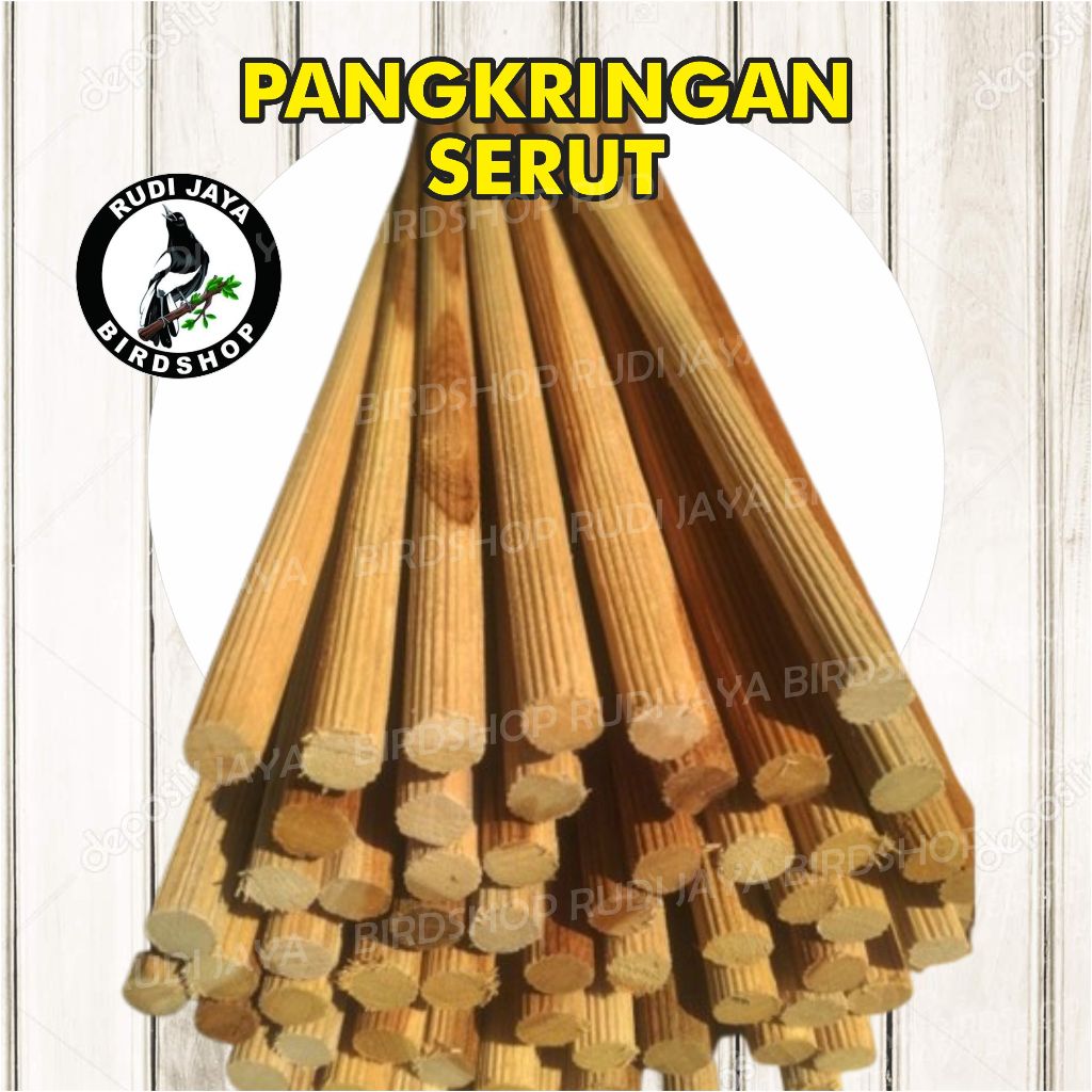 TANGKRINGAN SERUT BURUNG MURAI KACER KENARI PLECI KANDANG SANGKAR BURUNG MURAI KONIN KENARI KACER