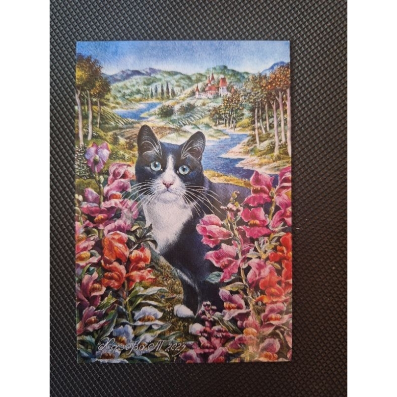 

kartu pos kucing russia/cat postcard