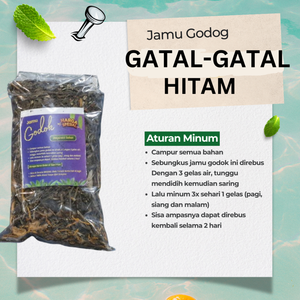 gatal jamur di selakangan hitam gatal bokong jamu godok