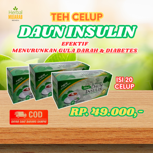 

TEH CELUP DAUN INSULIN ORIGINAL | TEH OBAT DIABETES MENURUNKAN GULA DARAH | TEH DAUN INSULIN