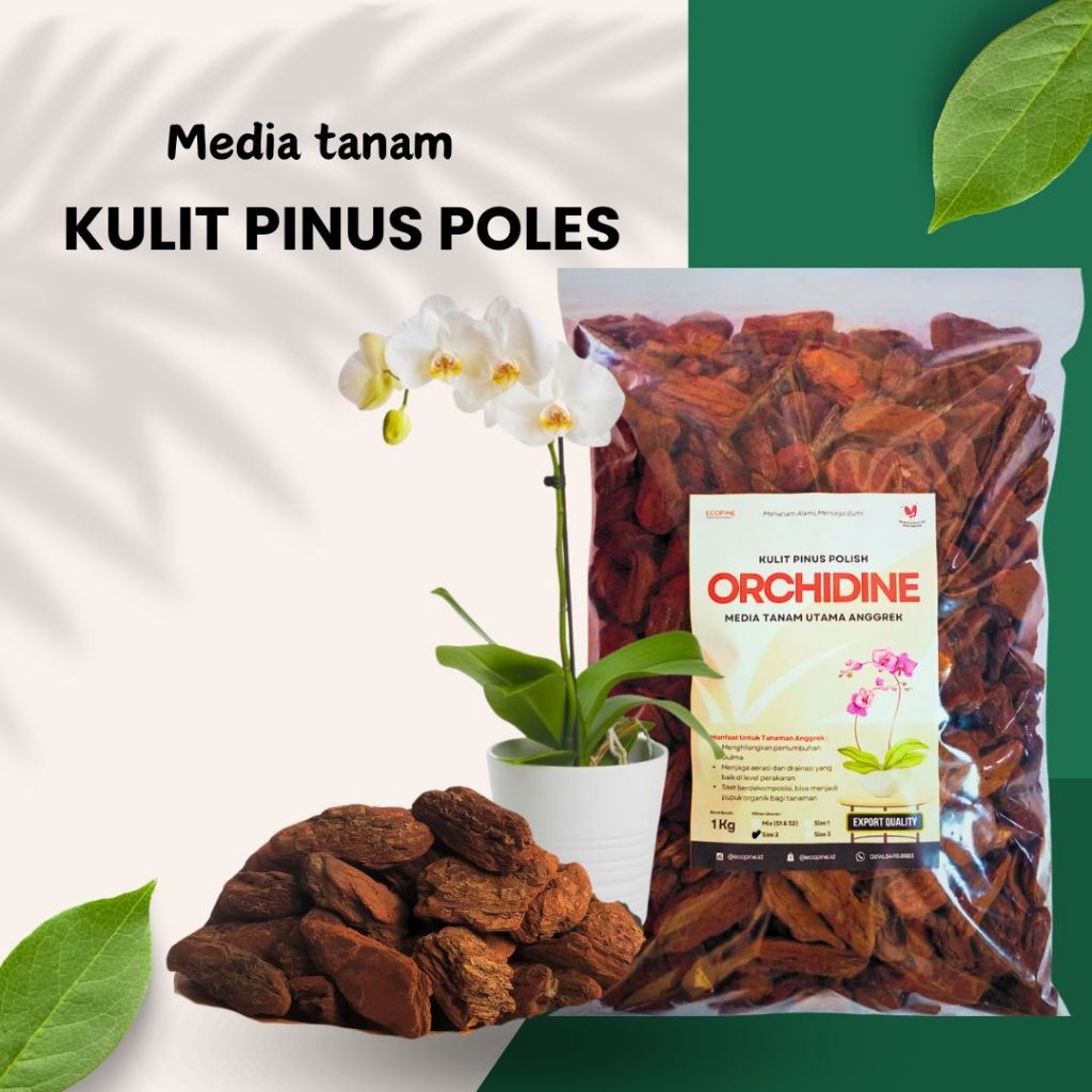 Media Tanam Anggrek - Kulit Pinus - Kulit pinus Poles - Media tanam Terbaik - Kulit Pinus Ecopine