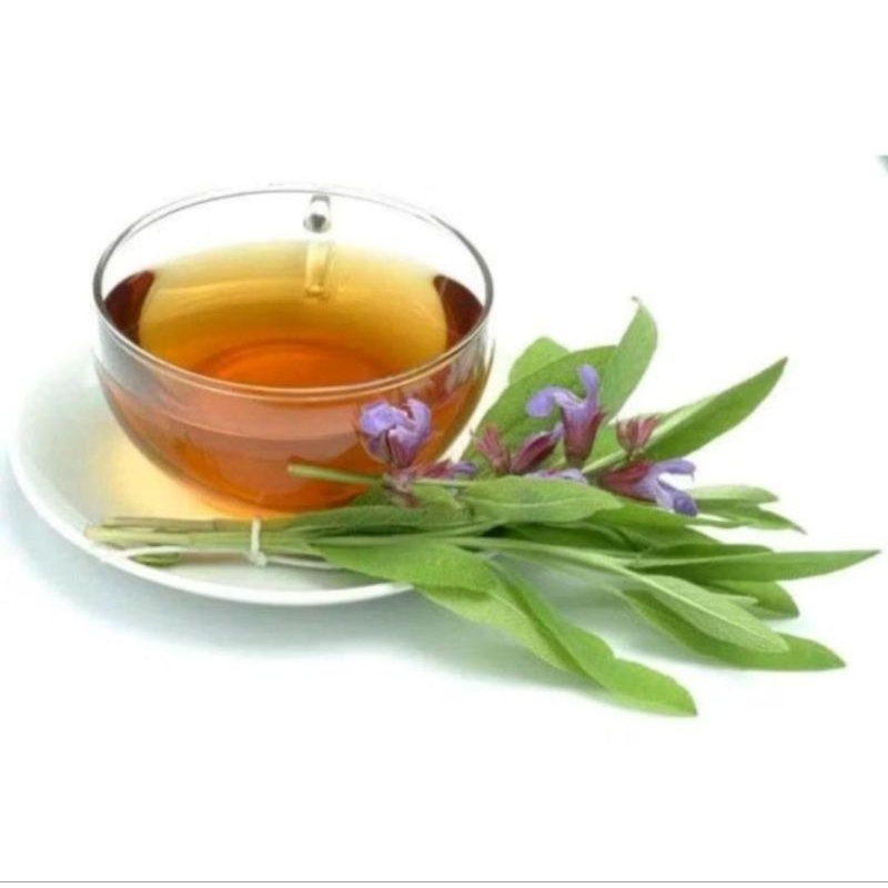 

SAGE LEAF TEA (30 Tea Bag) baik bagi ibu yg sedang menyapih mengurangi produksi asi