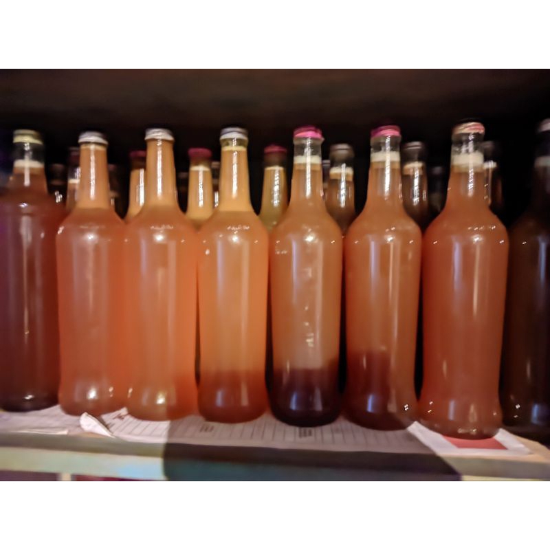 

madu hutan asli