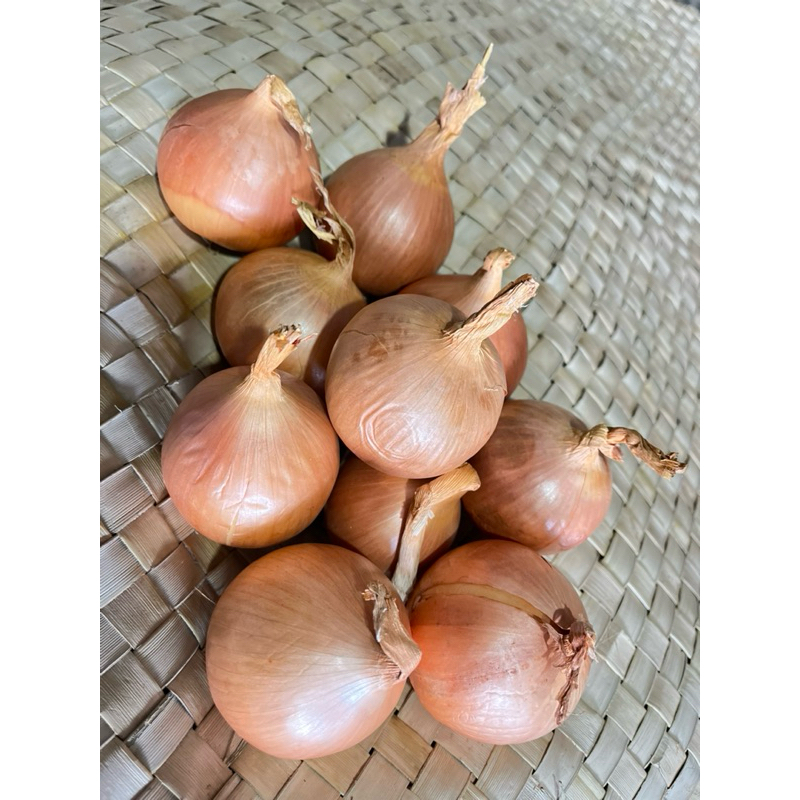 

BAWANG BOMBAY FRESH BANYUWANGI