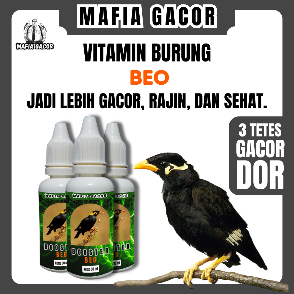 Vitamin Burung Beo 30 Ml Booster Penggacor Jadi Rajin Ngoceh Lama Atasi Suara Macet Mafia Gacor