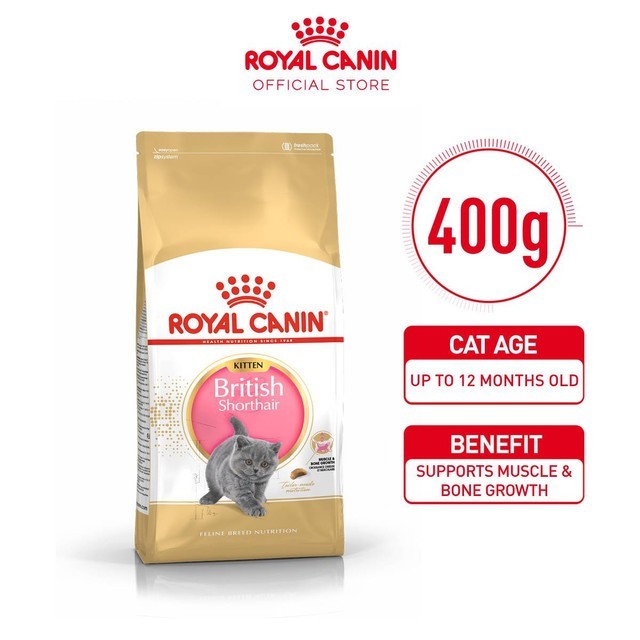 Royal Canin British Shorthair kitten 400gr Rc Bsh kitten - RC BRITISH KITTEN