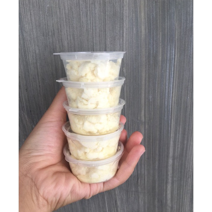 

READY STOCK Bibit kefir praktisstarter kefir 25gr5gr