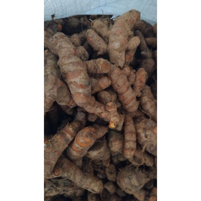 

kunyit /kunir /koneng fresh 1kg