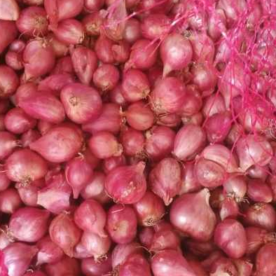 

Termurah Bawang Merah Super premium