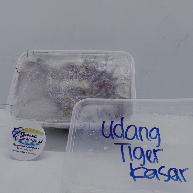 

Udang Tiger Kasar