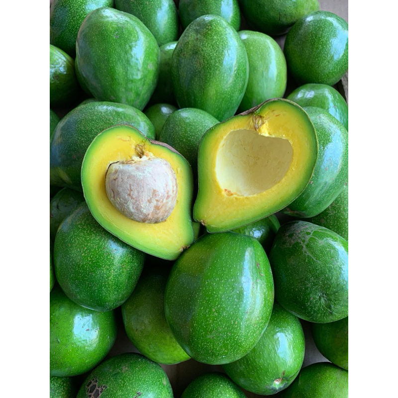 

Alpukat Mentega Lampung 900 - 1kg