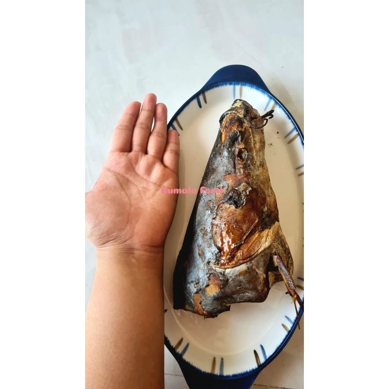 

KEPALA IKAN MANYUNG ASAP 500 - 600 gr