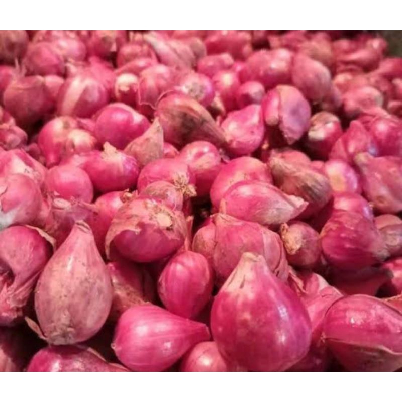 

bawang merah ( 100 Gram )