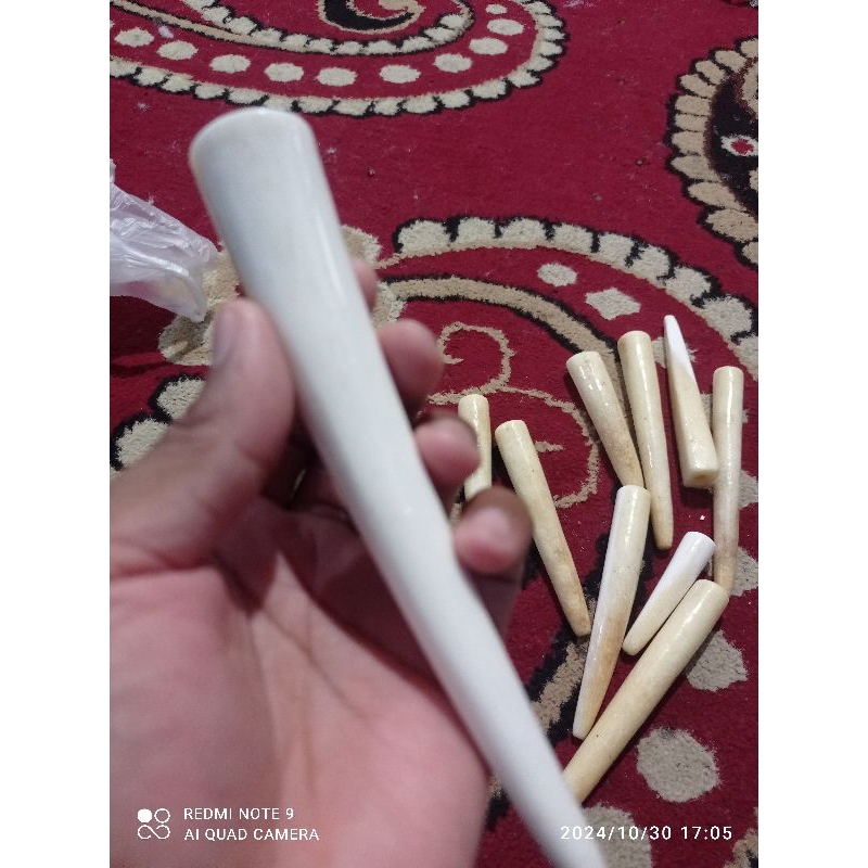 once tulang sapi import jumbo