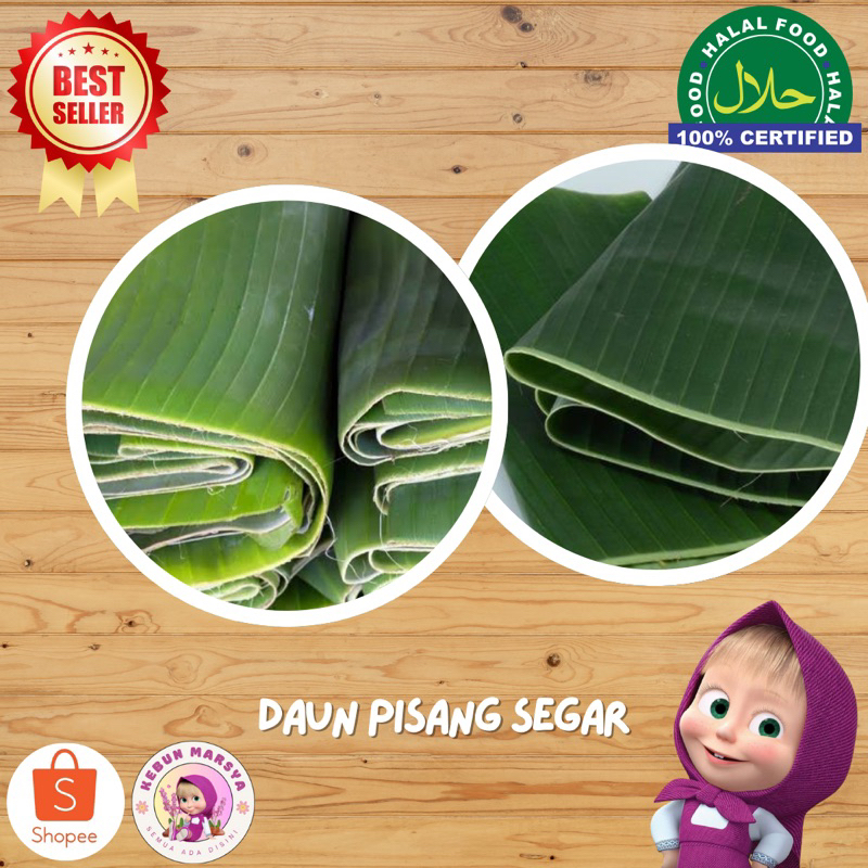 

Daun Pisang Segar | 250gr - 1kg | KebunMarsya