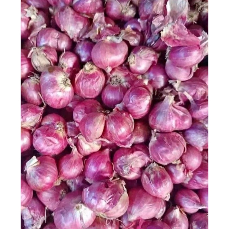 

BAWANG MERAH KEMASAN 1KG LOKAL UKURAN SEDANG
