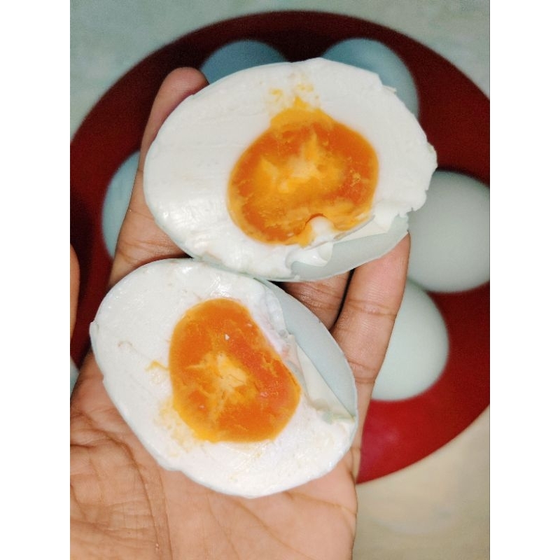 

(READY)TELUR ASIN ISTIMEWA ISI 10 BIJI KHAS BRAGANG KLAMPIS KAB BANGKALAN
