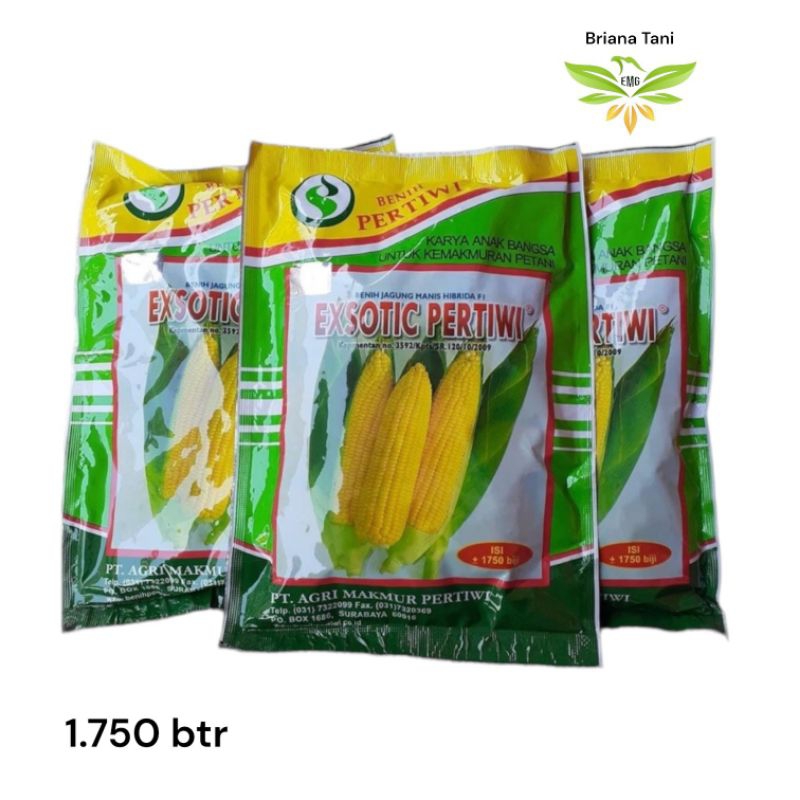￼Exsotic 1.750 Biji Benih Jagung Manis Hibrida Pertiwi jagung eksotik jagung exotic jagung eksotic