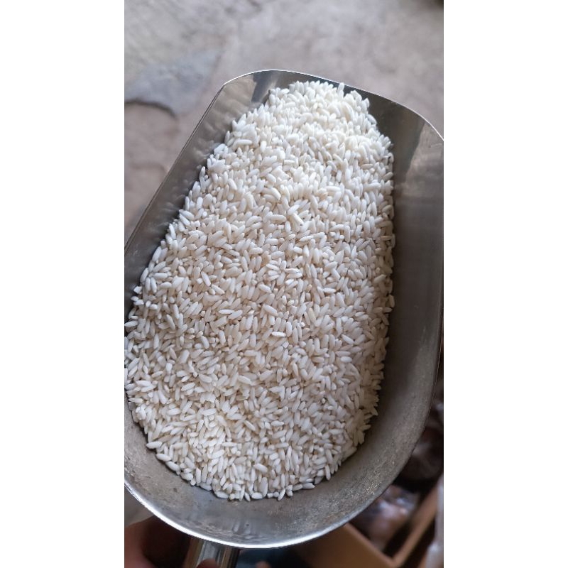 

beras ketan ketan putih